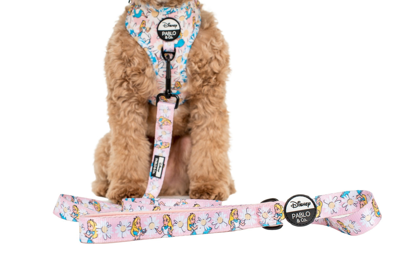 Alice in Wonderland: Dog Leash