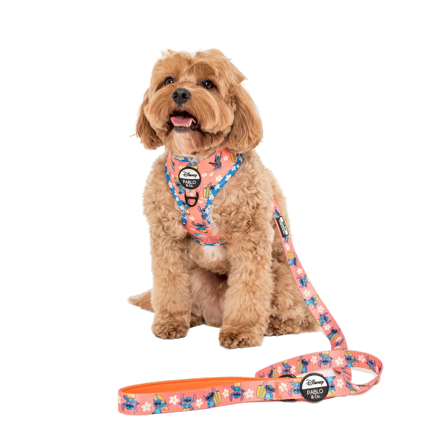 Surfin' Stitch: Dog Leash