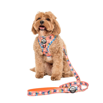 Surfin' Stitch: Dog Leash