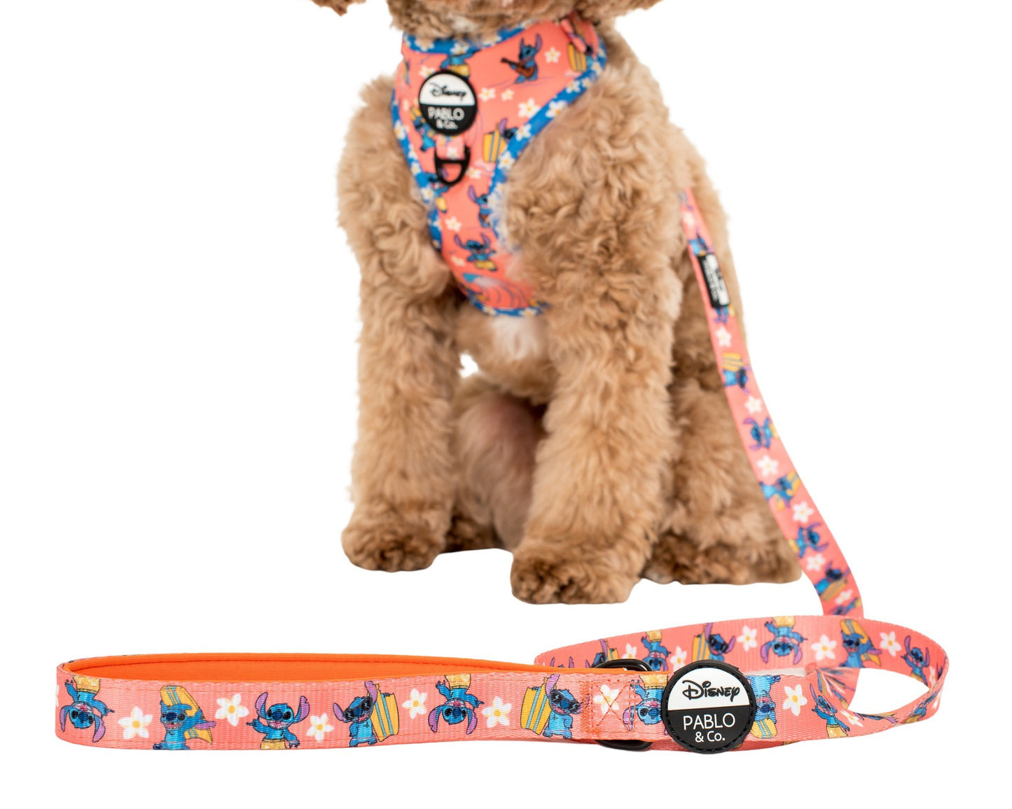 Surfin' Stitch: Dog Leash