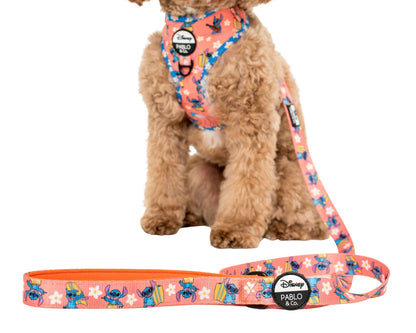 Surfin' Stitch: Dog Leash