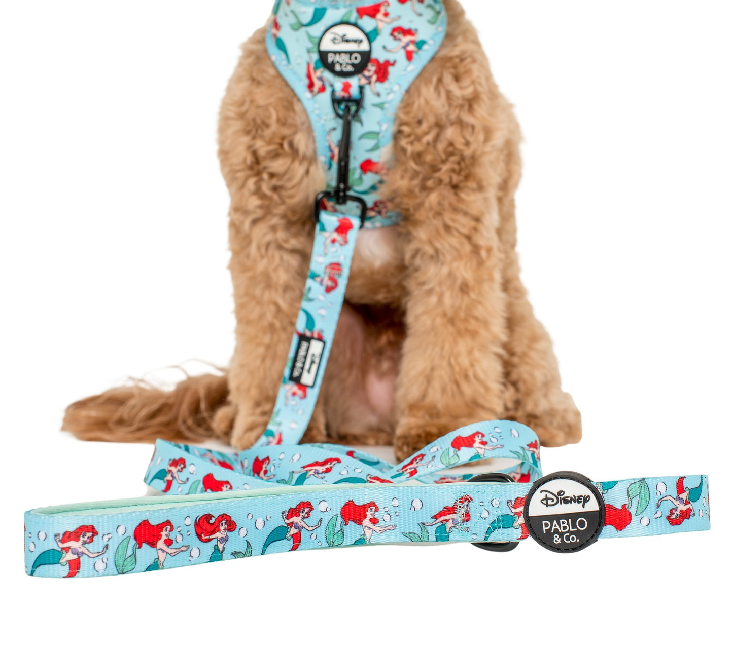 The Little Mermaid - Ariel: Dog Leash