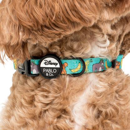 The Jungle Book: Dog Collar