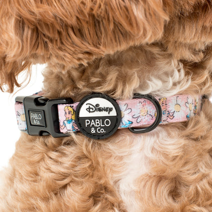 Alice in Wonderland: Dog Collar