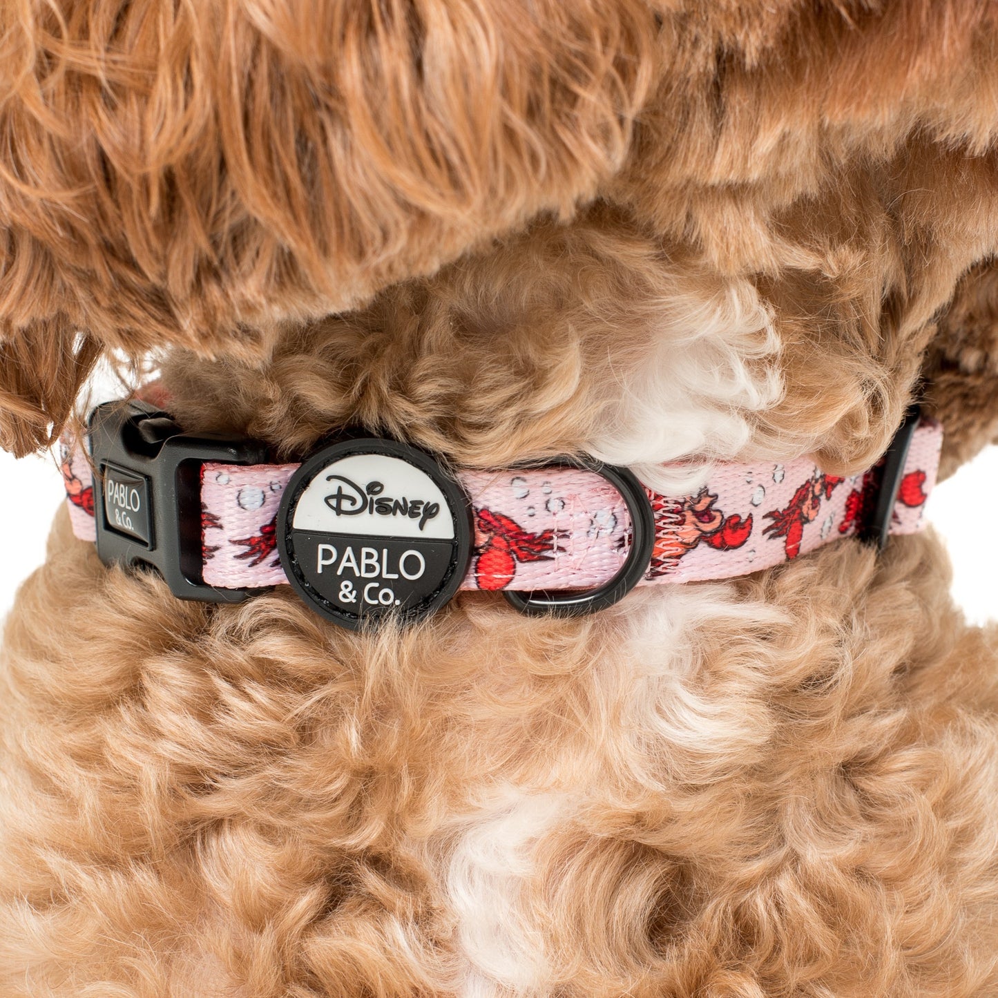 The Little Mermaid - Sebastian: Dog Collar