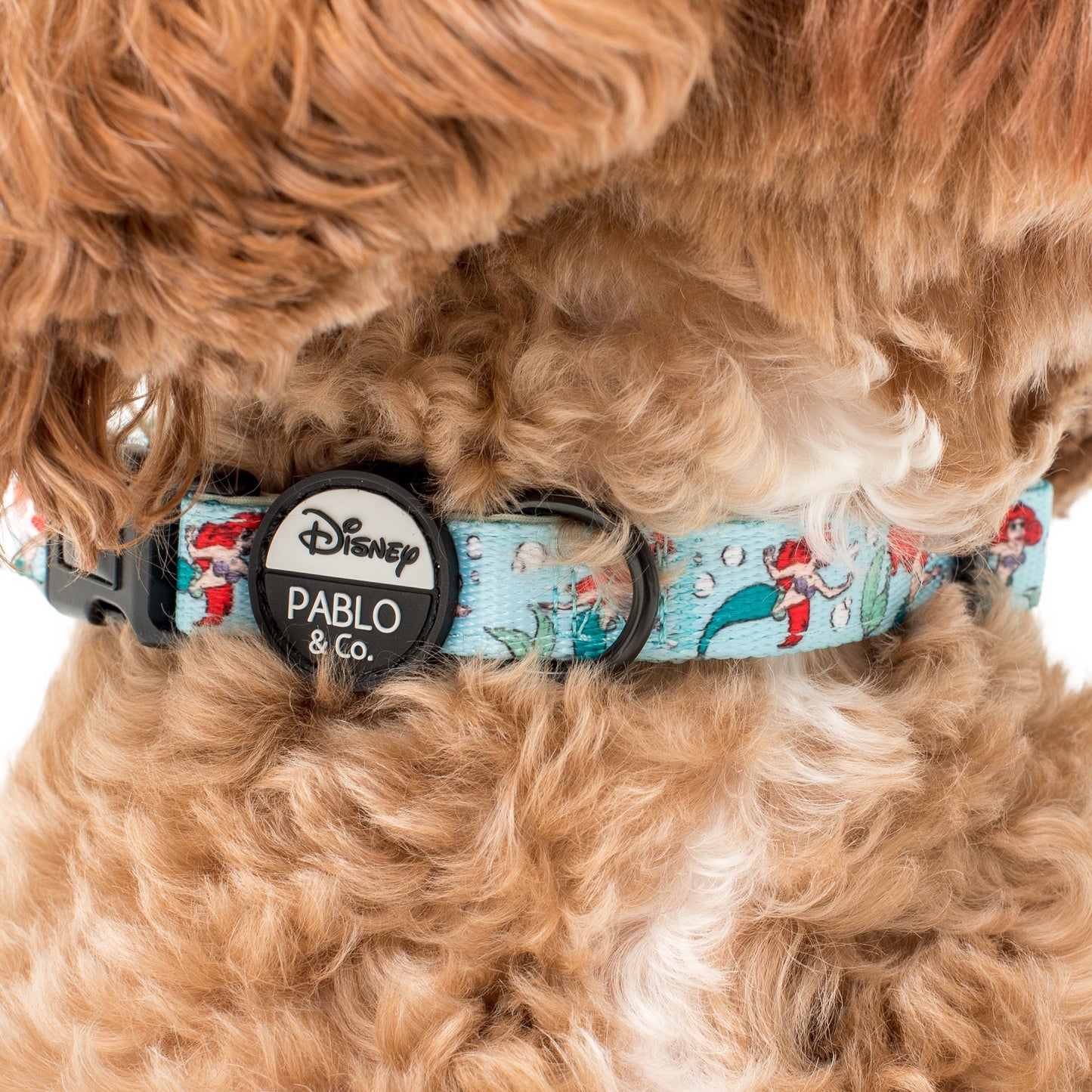 The Little Mermaid - Ariel: Dog Collar