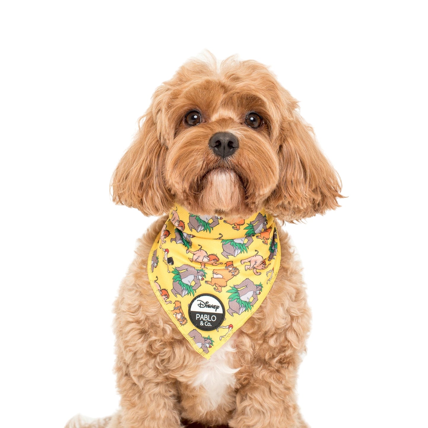 The Jungle Book Vol. 2: Dog Bandana