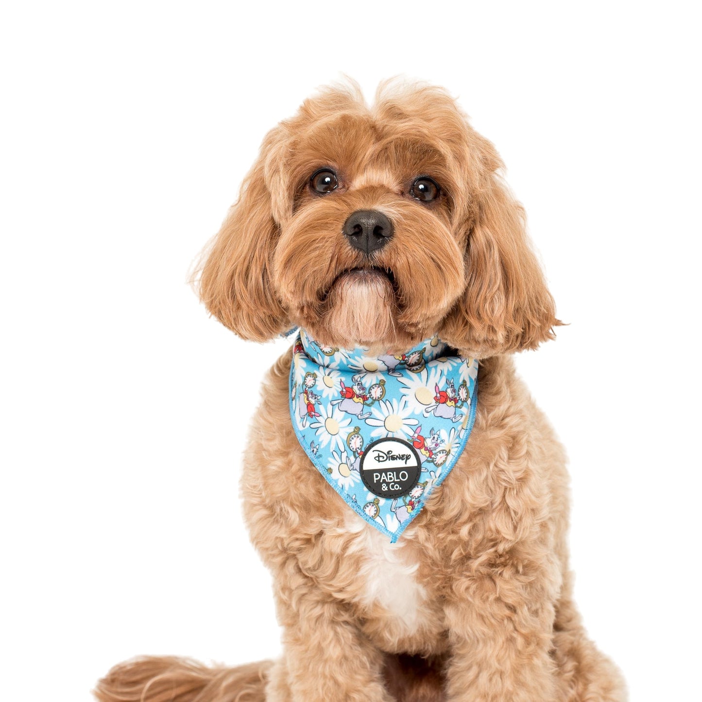 White Rabbit: Dog Bandana