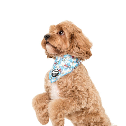 White Rabbit: Dog Bandana