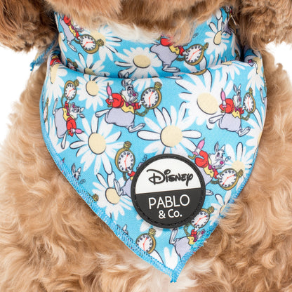 White Rabbit: Dog Bandana