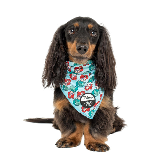 The Little Mermaid - Ariel: Dog Bandana