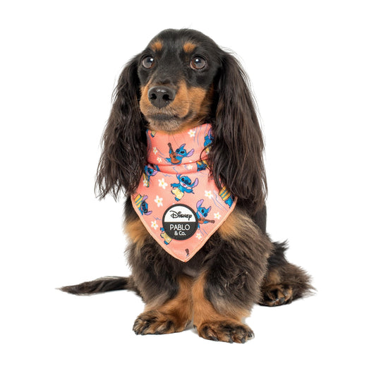 Surfin' Stitch: Dog Bandana