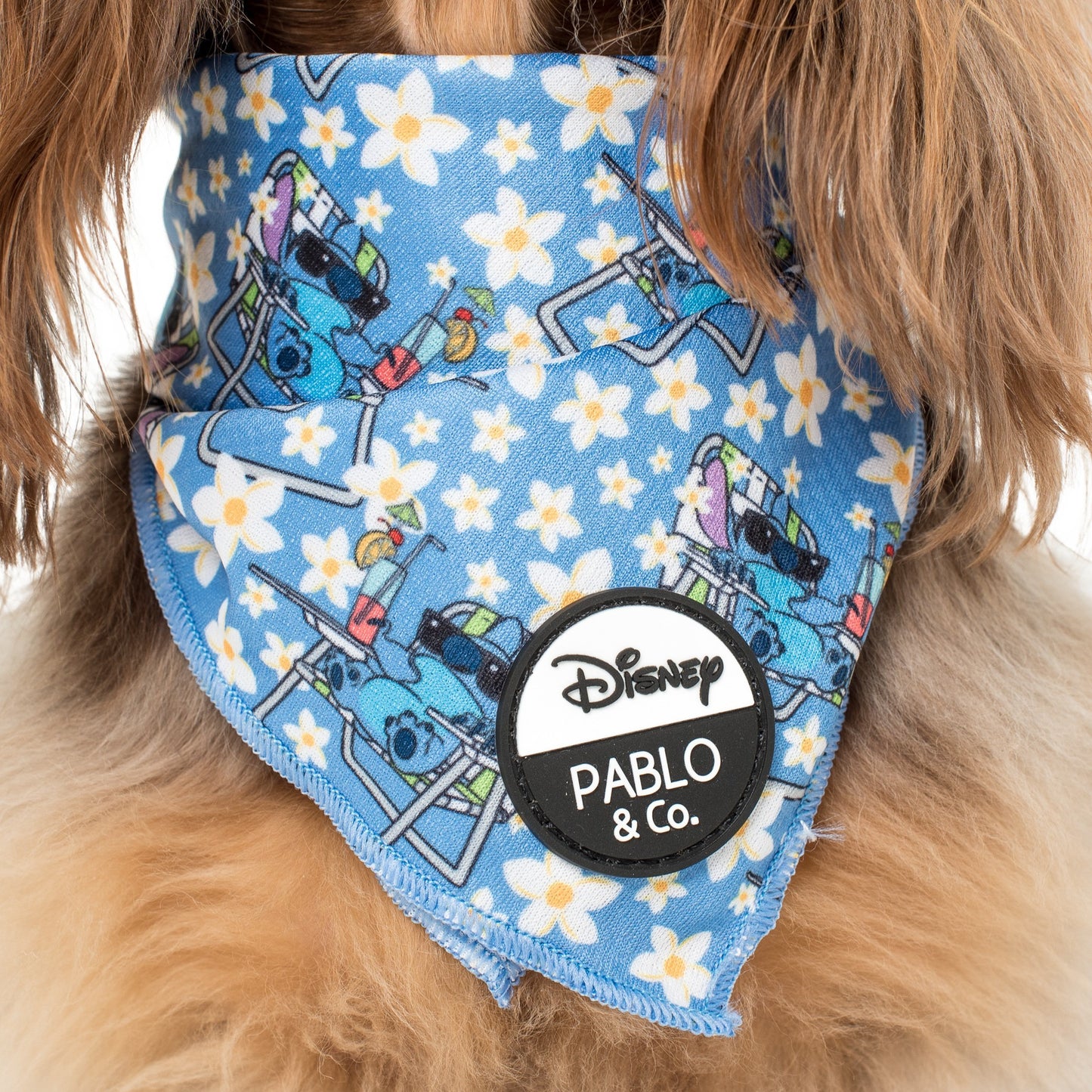 Stitch By The Pool: Dog Bandana