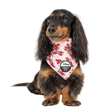 The Little Mermaid - Sebastian: Dog Bandana