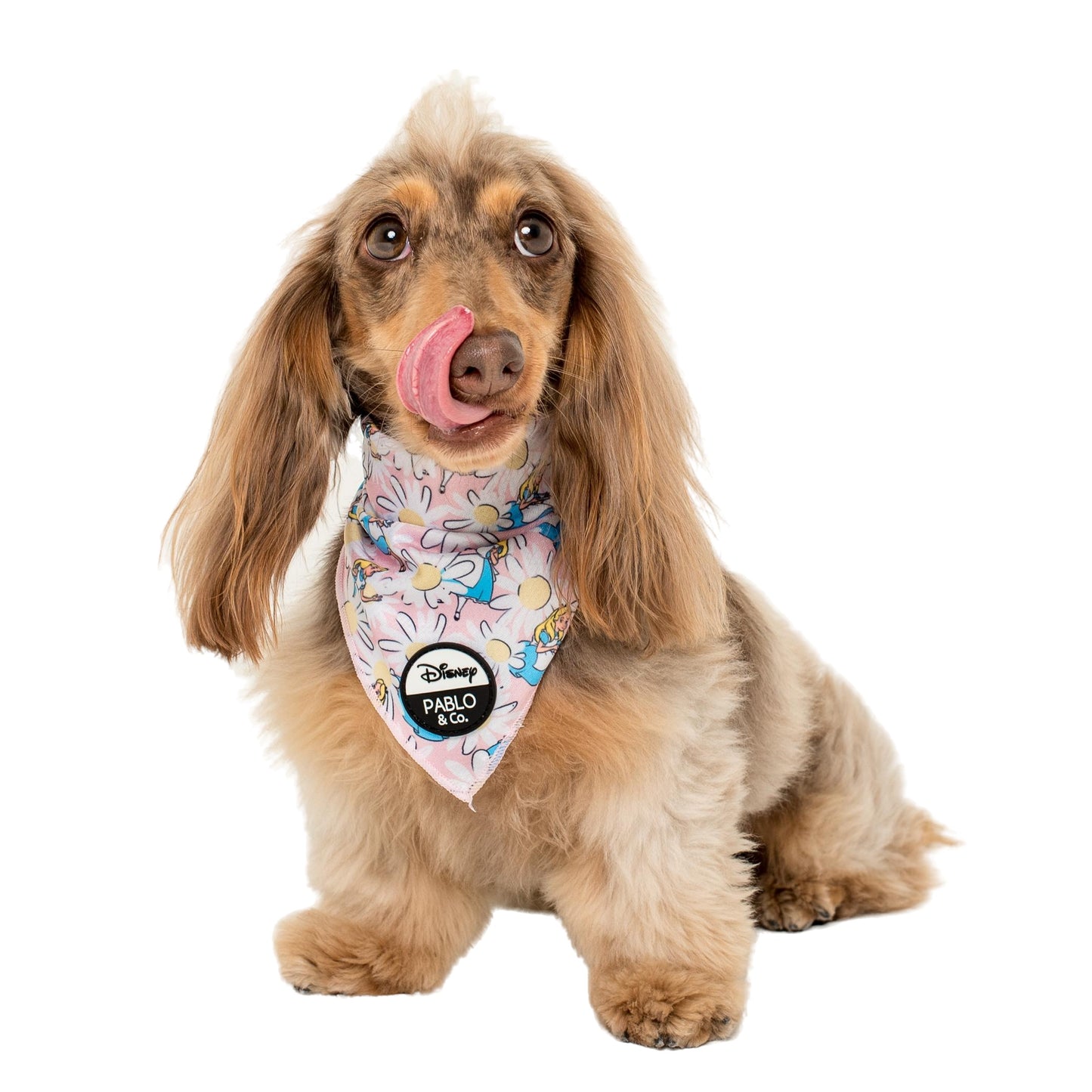 Alice in Wonderland: Dog Bandana