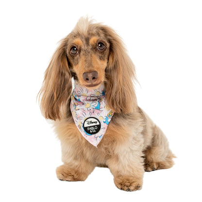 Alice in Wonderland: Dog Bandana