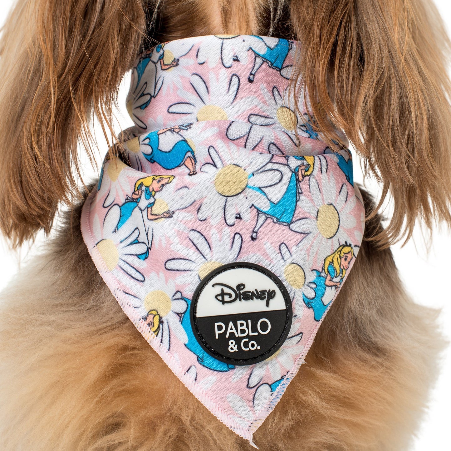 Alice in Wonderland: Dog Bandana