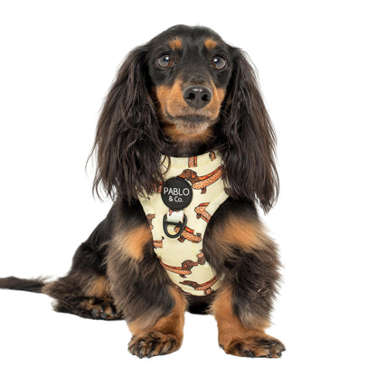 Wiener Dogs: Adjustable Harness