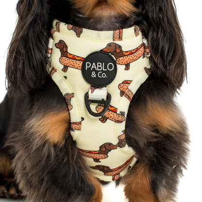 Wiener Dogs: Adjustable Harness