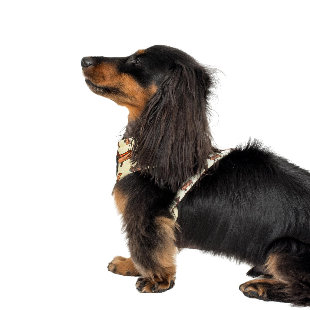 Wiener Dogs Adjustable Harness Pablo & Co. Boutique
