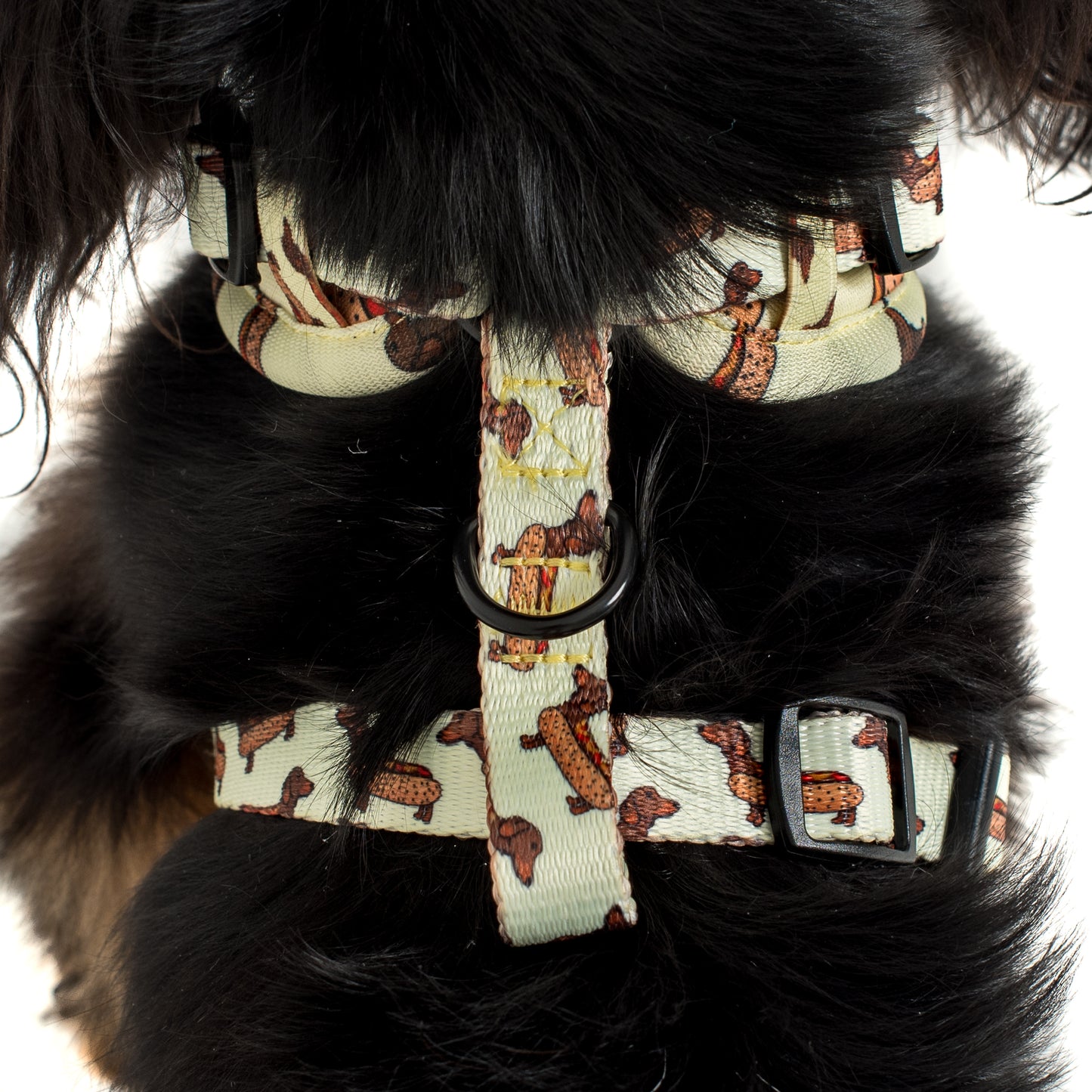 Wiener Dogs: Adjustable Harness