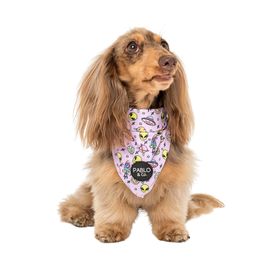 Out of This World - Dog Bandana