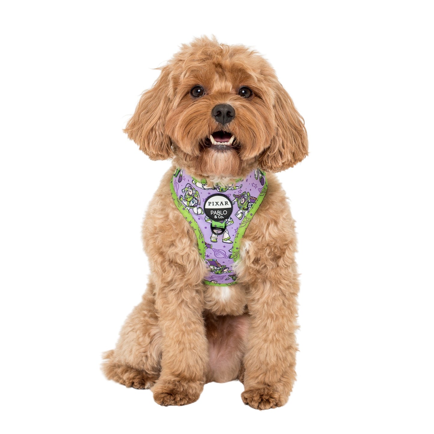 Toy Story - Buzz Lightyear: Adjustable Harness