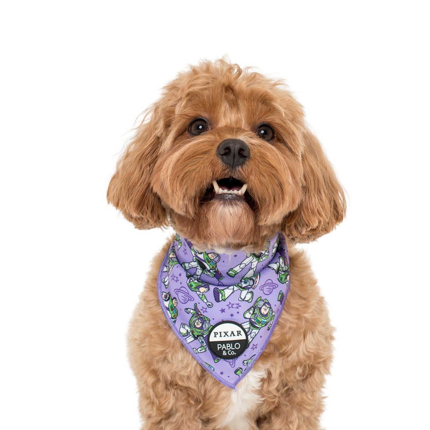 Toy Story - Buzz Lightyear: Dog Bandana