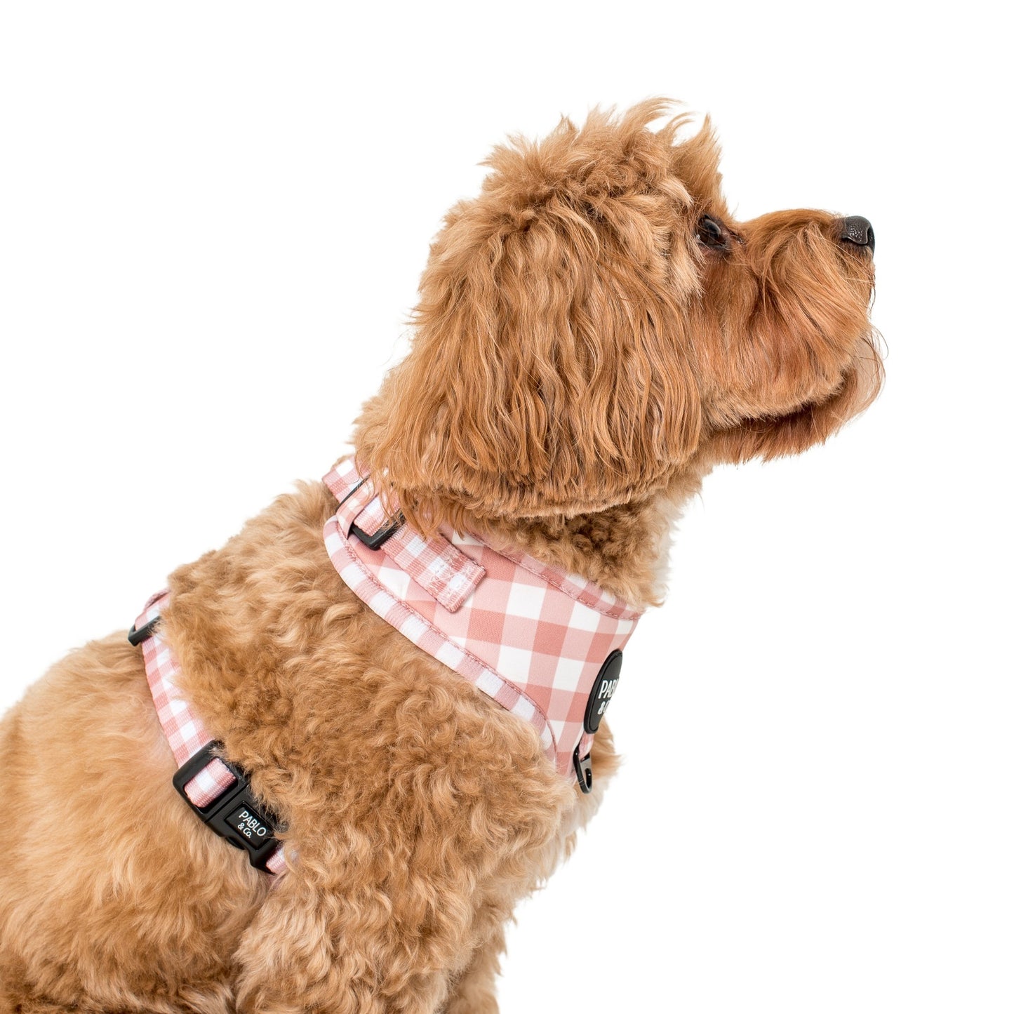 Chocolate Gingham: Adjustable Harness