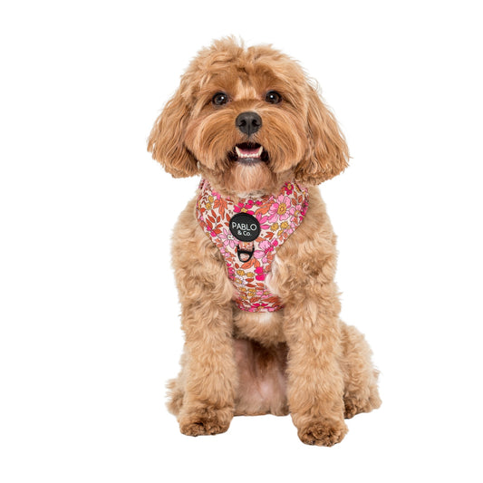 Pink Posies: Adjustable Harness