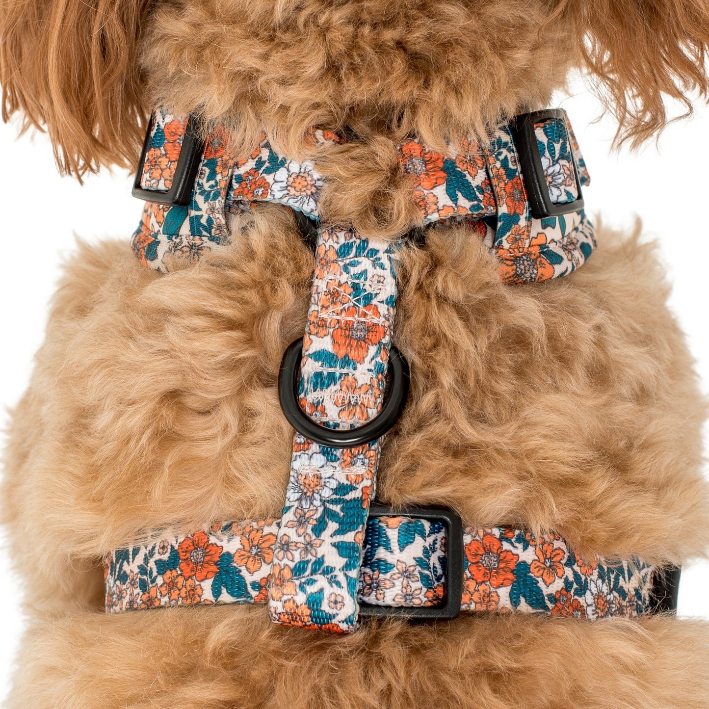 Wildflowers: Adjustable Harness