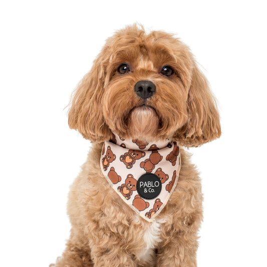 Teddy Bears Picnic - Dog Bandana