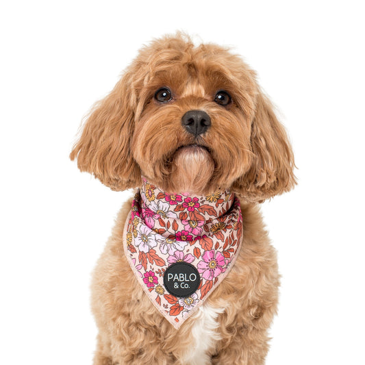 Pink Posies - Dog Bandana