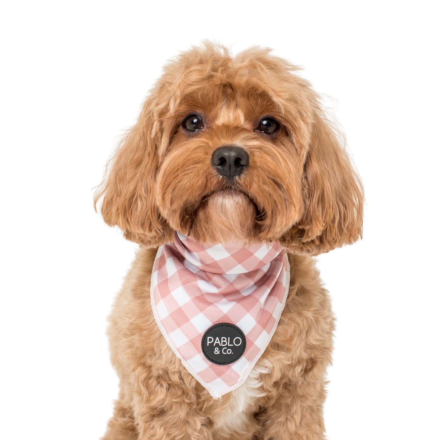 Chocolate Gingham - Dog Bandana