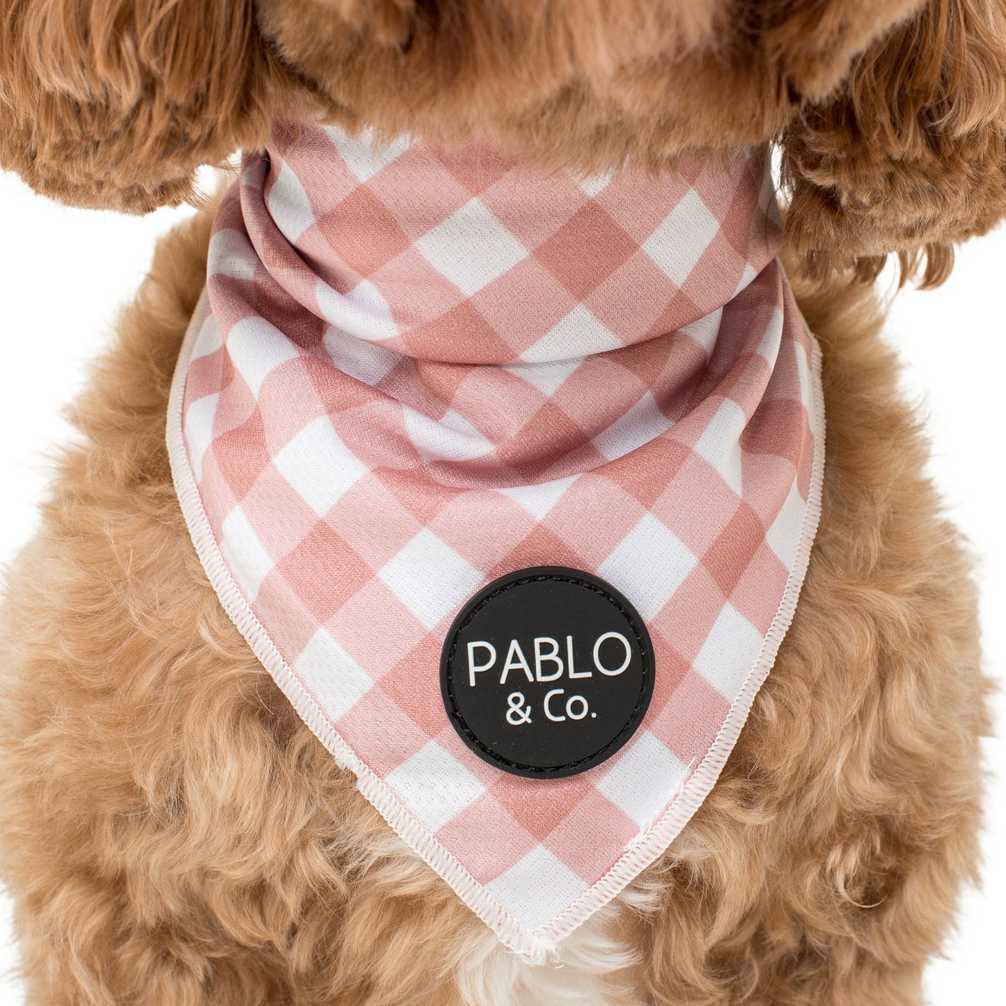 Chocolate Gingham - Dog Bandana