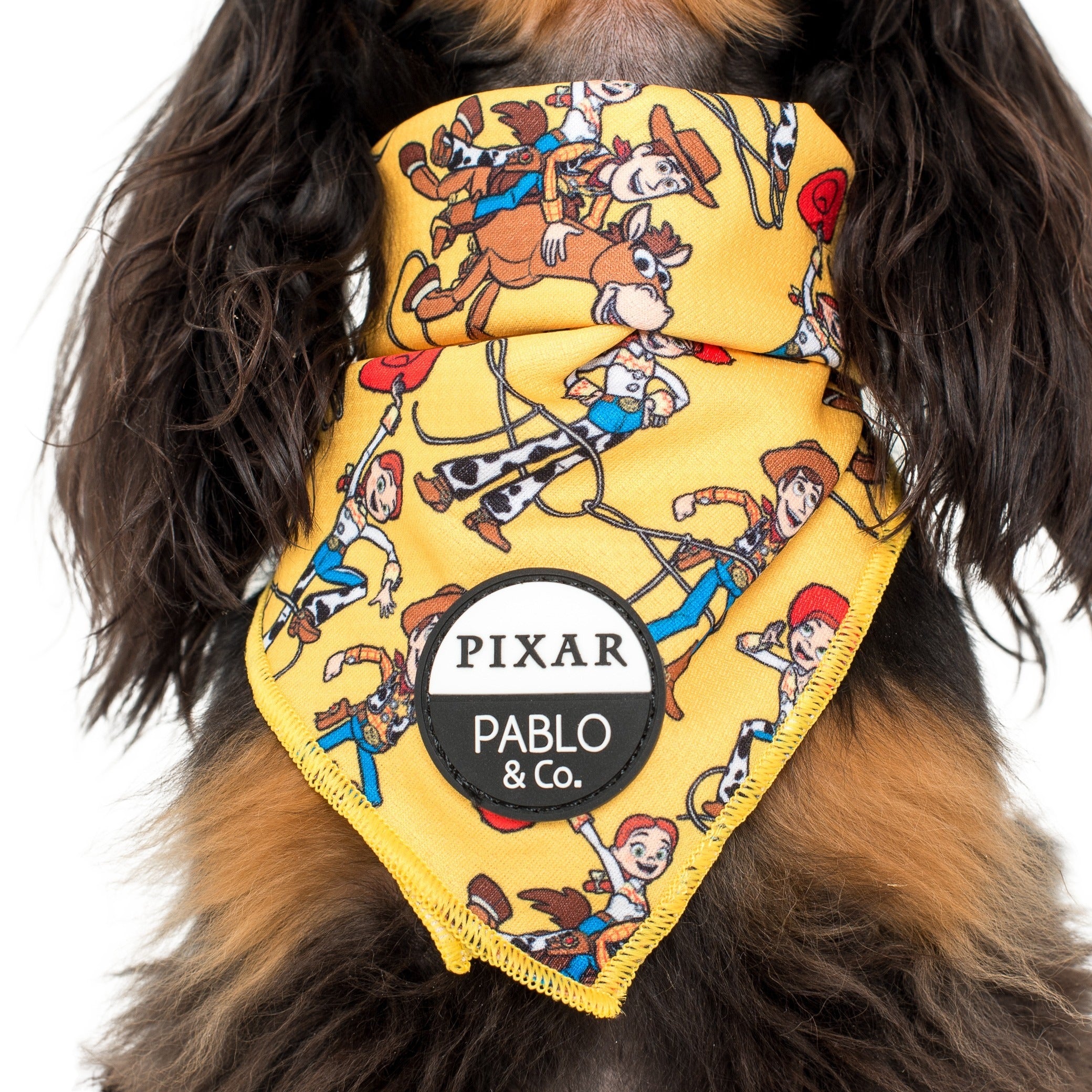 Toy Story Woody s Roundup Dog Bandana Pablo Co. Boutique