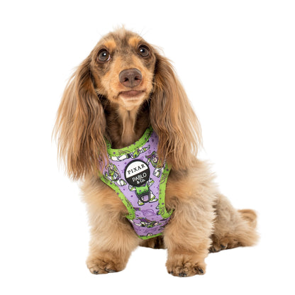 Toy Story - Buzz Lightyear: Adjustable Harness