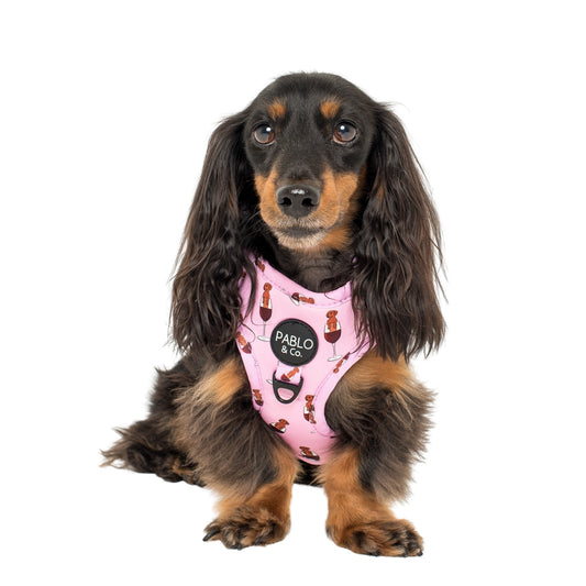 Dachshunds & Wine: Adjustable Harness