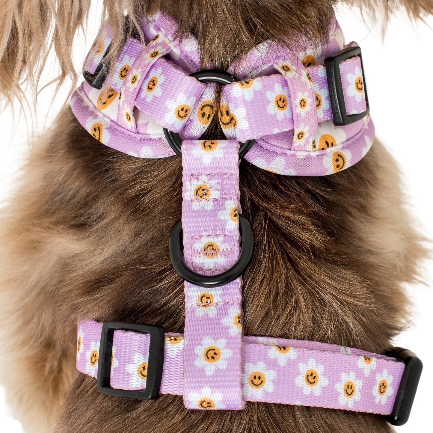 Lilac Smiley Flowers: Adjustable Harness