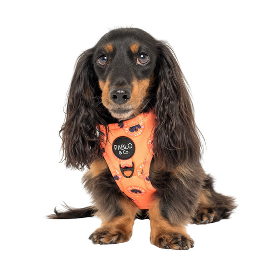 Bark Club: Adjustable Harness