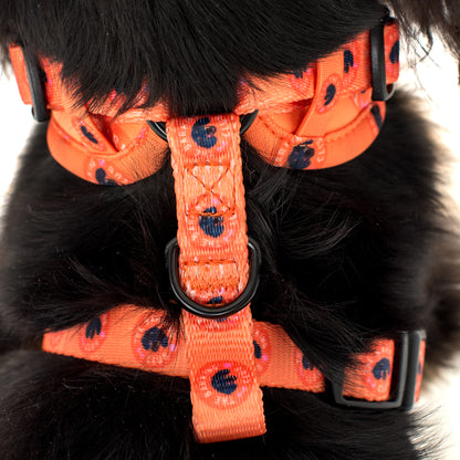 Bark Club: Adjustable Harness