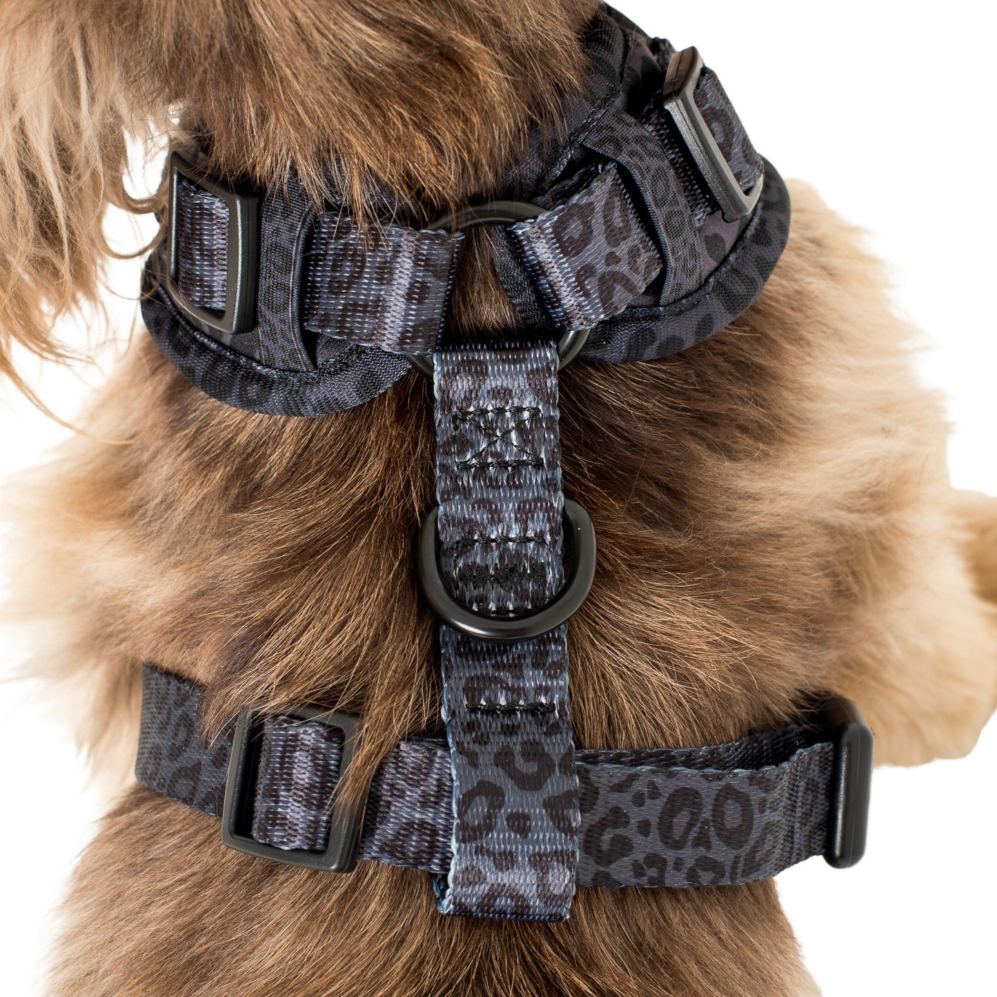 Wild Leopard: Adjustable Harness