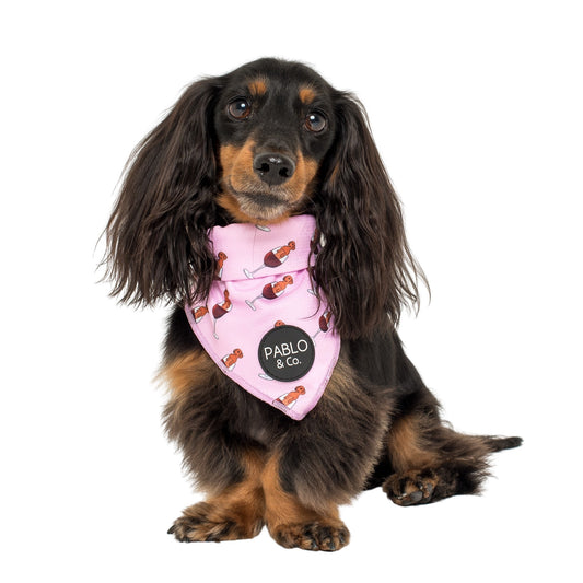 Dachshunds & Wine - Dog Bandana