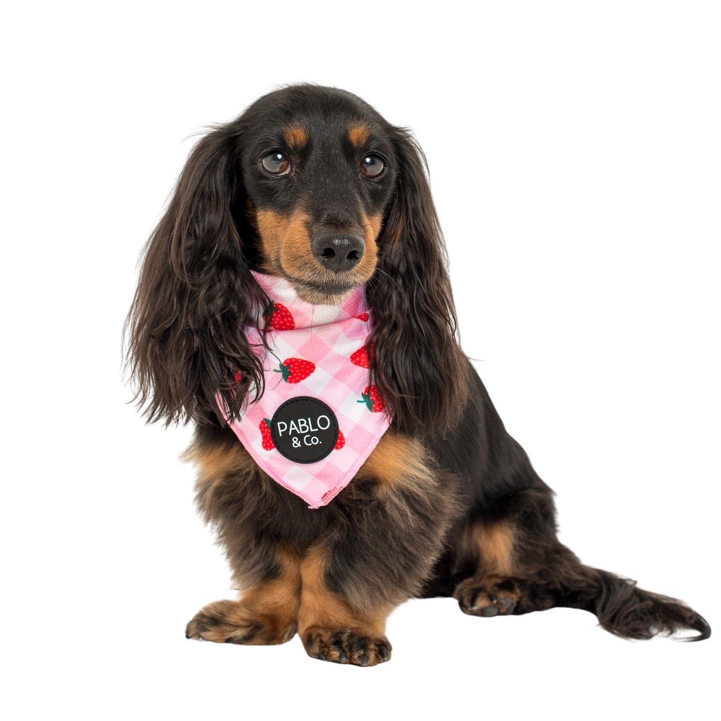 Strawberry Fields: Dog Bandana