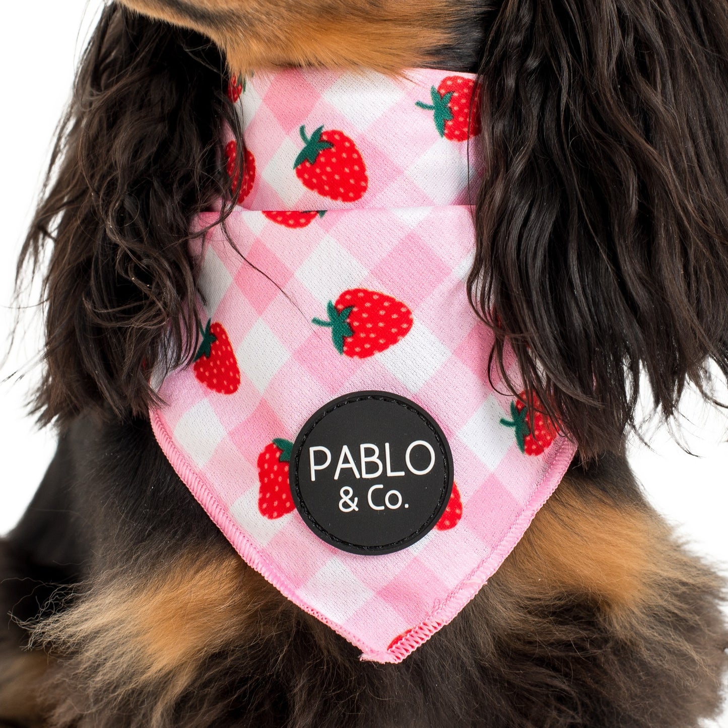 Strawberry Fields: Dog Bandana