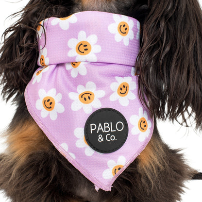 Lilac Smiley Flowers - Dog Bandana