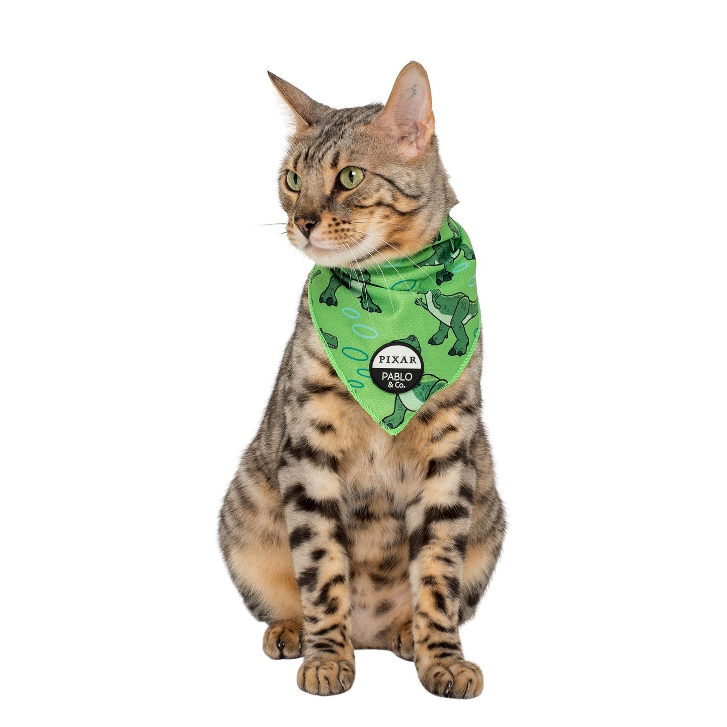 Toy Story - Rex: Cat Bandana