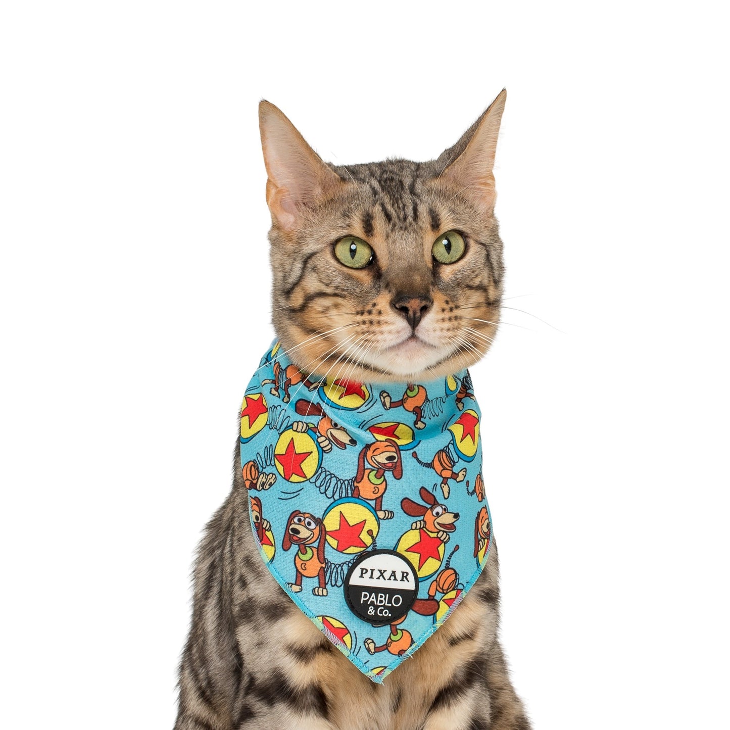 Toy Story - Slinky Dog: Cat Bandana