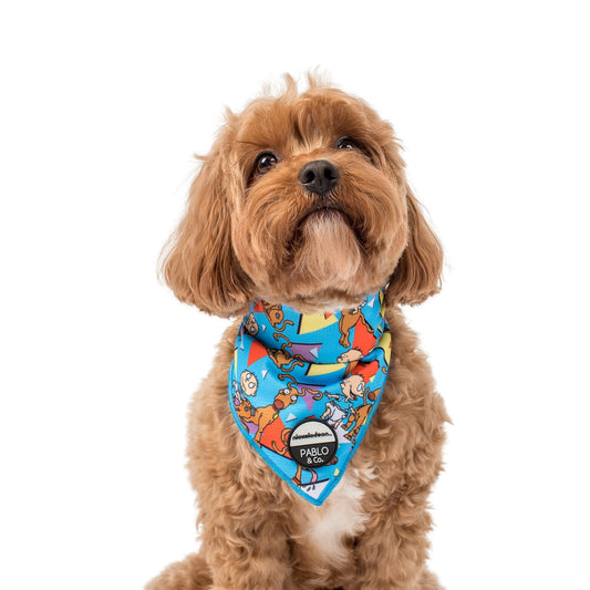 Nickelodeon Rugrats - Tommy & Spike: Dog Bandana