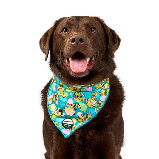 Nickelodeon Rugrats - Reptar: Dog Bandana